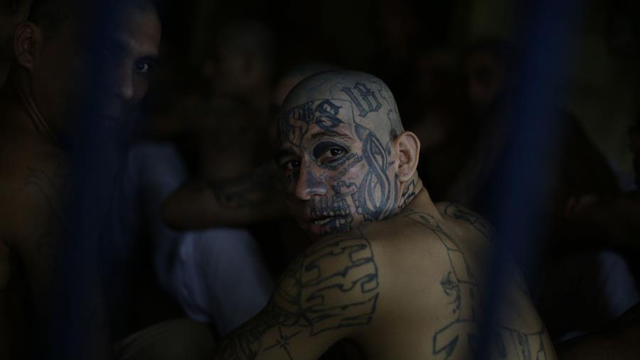 Las maras marcan con sangre la pandemia en El Salvador Telemundo 52 Las maras marcan con sangre la pandemia en El Salvador Telemundo 52