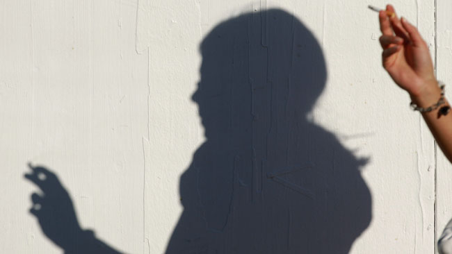 tlmd_031314_shadow_gi