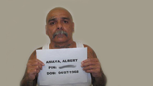tlmd_albert_spanky_amaya
