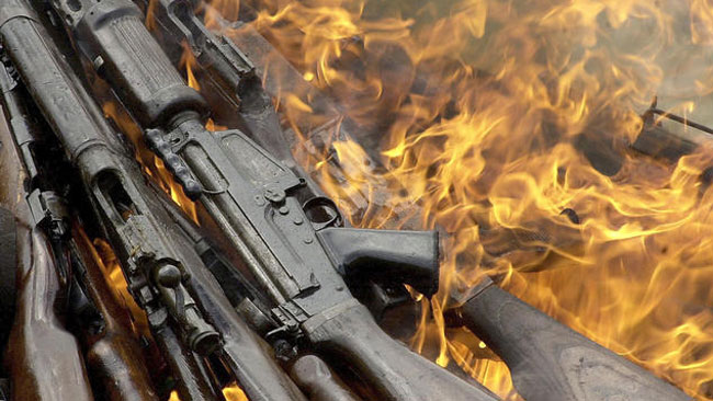 tlmd_armas_fuego1
