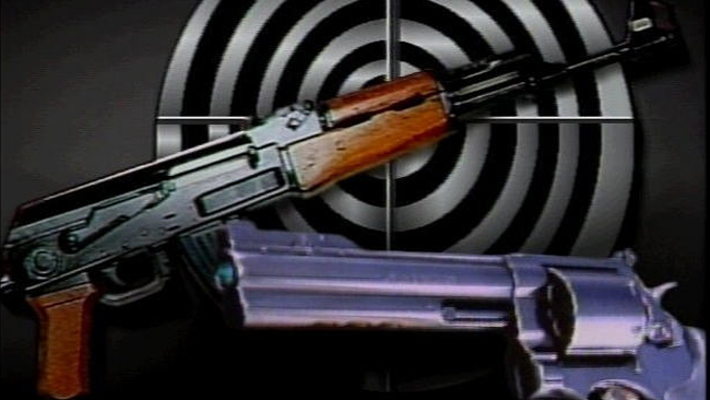 tlmd_comptonguns