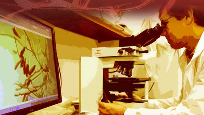 tlmd_doctor_microscopio
