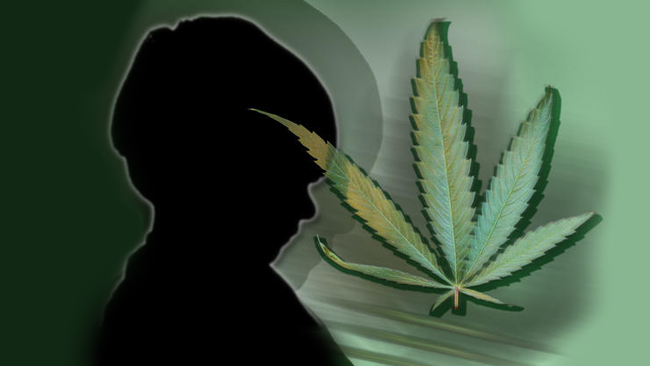 tlmd_droga_marihuana_sonora_california