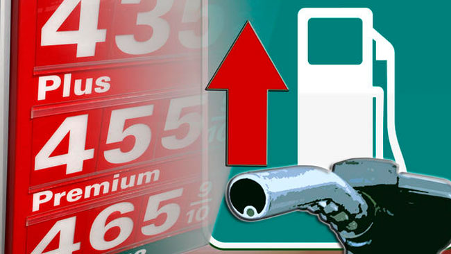 tlmd_gasolinera