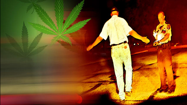 tlmd_marihuana_policia_conductor