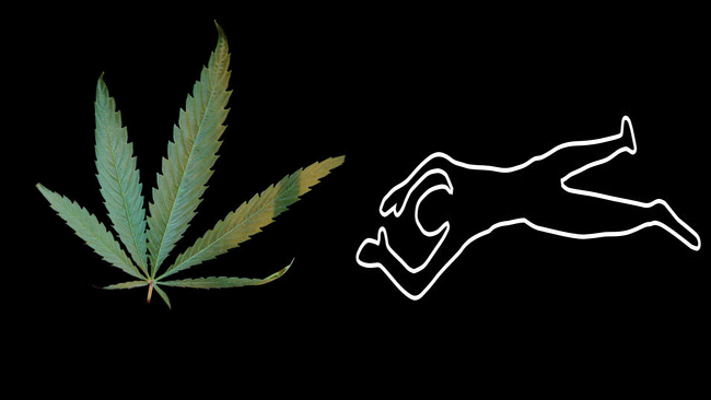 tlmd_muerte_dispensario_marihuana_westchester