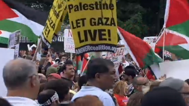 tlmd_protestapro_gaza1