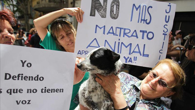 tlmd_tlm_perro_muerto_uruguay