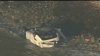 Automovilista muere tras caída de su vehículo por barranco en Palos Verdes Estates