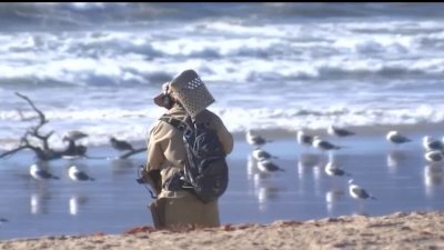 Advertencia por posible contaminación de playas – Telemundo 52
