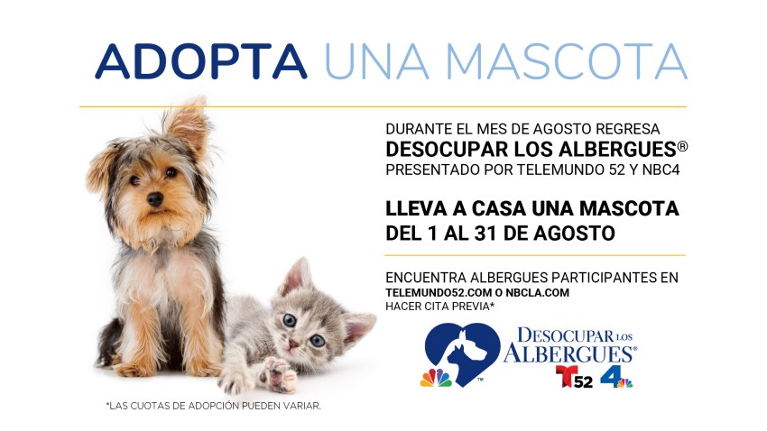 Desocupar Los Albergues