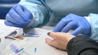 Nurse wearing latex gloves pricks finger of patient to test for coronavirus antibodies.