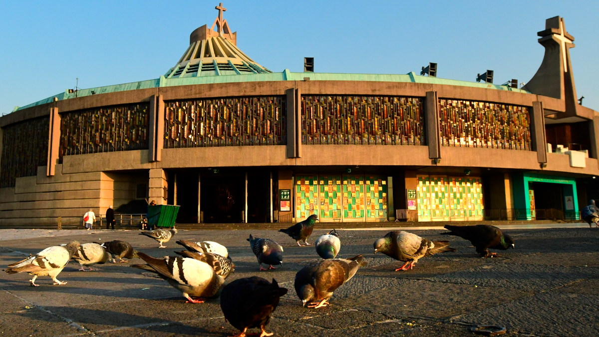 Basílica de Guadalupe en Ciudad de México