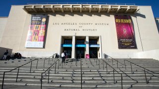 Los Angeles County Museum of Natural History, Exposition Park, Los Angeles.