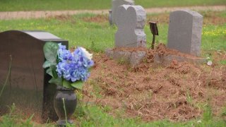 A non-profit group that traps wild hogs to provide meat for veterans hopes to solve the hog nuisance that’s caused extensive damage to a Dallas cemetery.