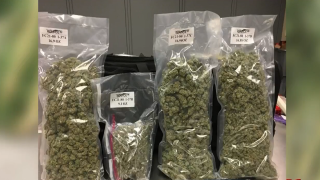 La Policía de Fort Collins (FCPS) incautó más de 100 plantas de marihuana y materiales de metanfetamina de una casa local durante una investigación reciente.