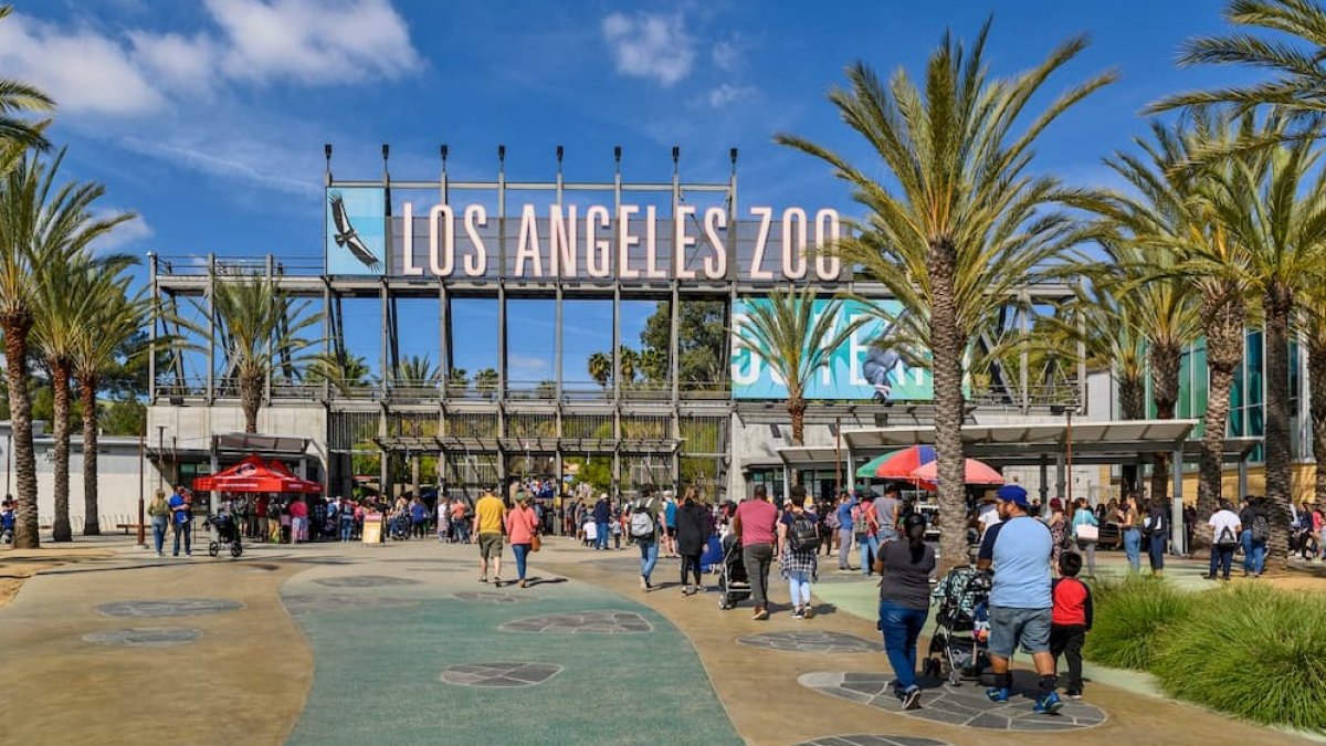 Can't go to school during the LAUSD strike?  The Los Angeles Zoo offers free admission