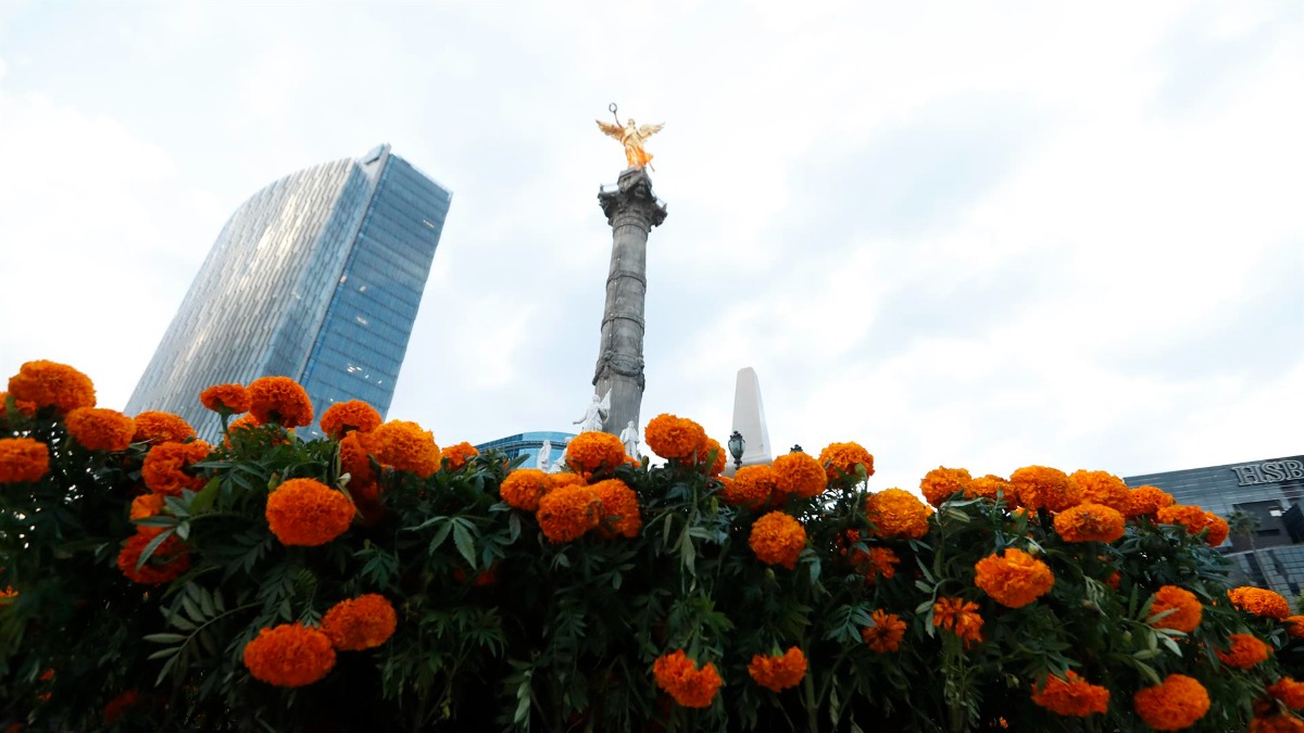 México: preparativos para el Día de Muertos – Telemundo 52