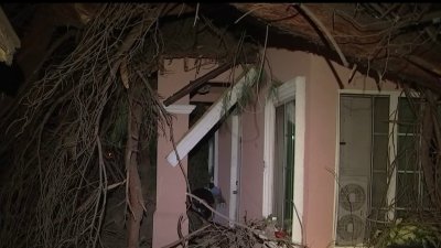 Fuertes rafagas de vientos causan daños por árboles caídos en hogares