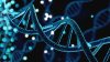 Histórico: científicos aseguran que completaron el genoma humano