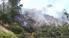 Investigan incendio de maleza cercal del observatario en Griffith Park
