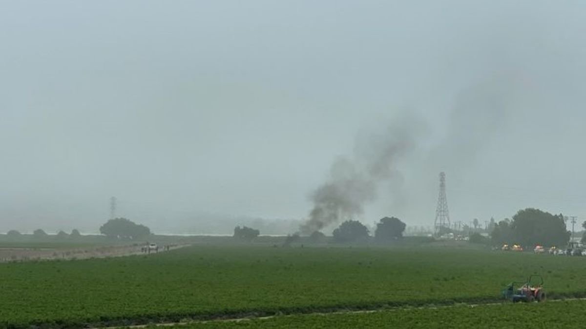 Oxnard se estrella en campo de fresas Telemundo 52