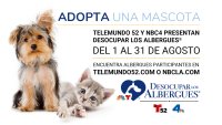 La Campaña de adopción de mascotas Desocupar Los Albergues® de Telemundo 52 y NBC4 regresa por el 8º año consecutivo