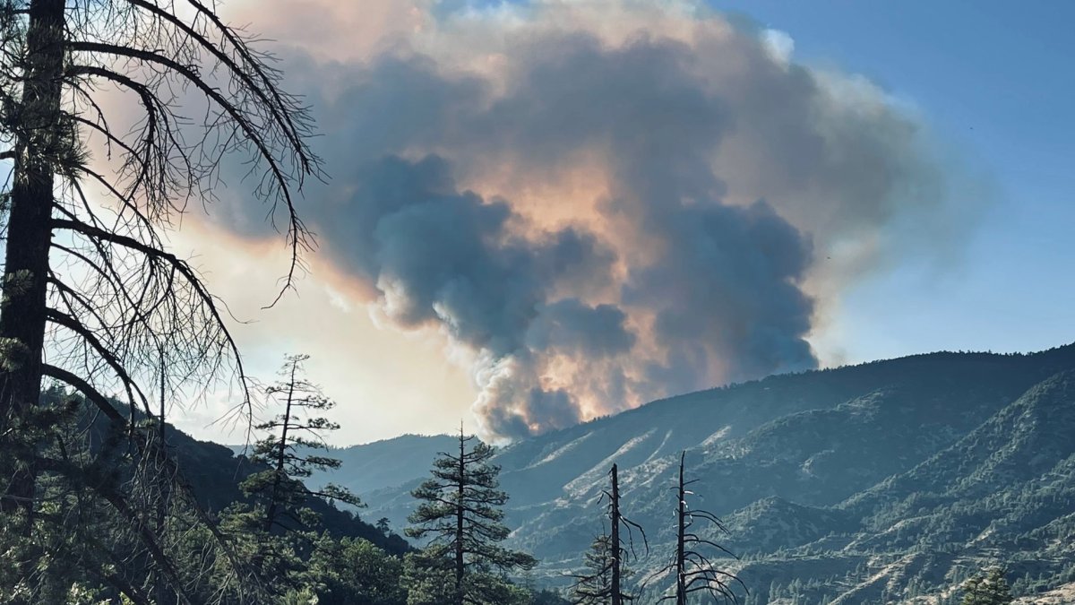 Big Bear: órdenes De Evacuación Por Incendio Radford – Telemundo 52