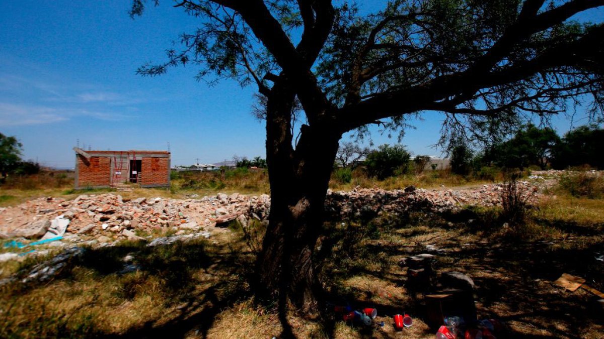 Hallan fosas clandestinas con restos humanos en Guanajuato Telemundo 52