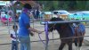 Tradición histórica: los paseos en caballos ‘poni’ de Griffith Park llegan a su fin