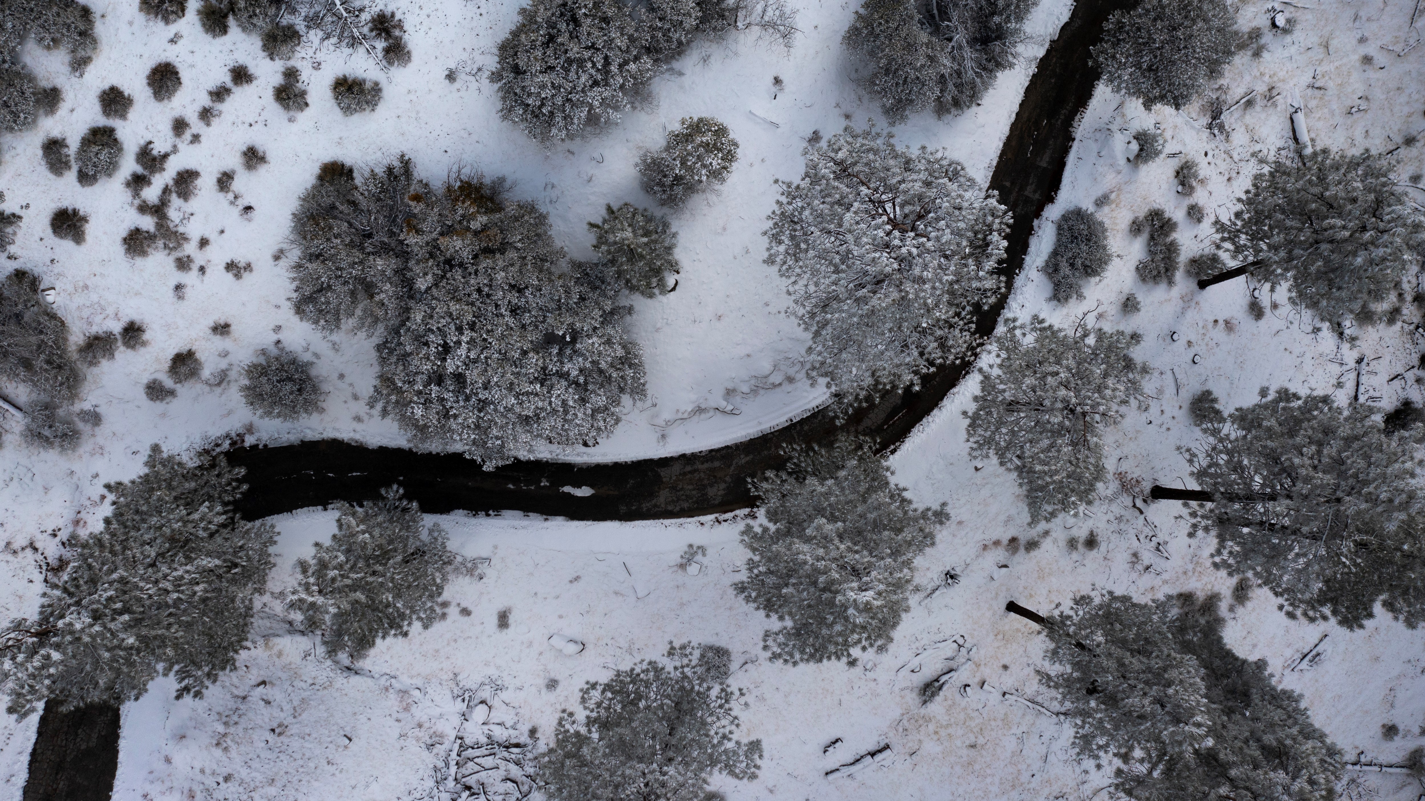 Sierra Nevada bajo el foco: Descubriendo La Sociedad de la Nieve