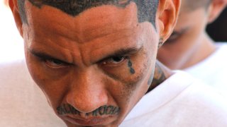 La Mara Salvatrucha ha sembrado el terror en El Salvador.