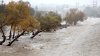 Lluvia intensa y fuertes vientos: esto se espera en las próximas horas en el sur de California