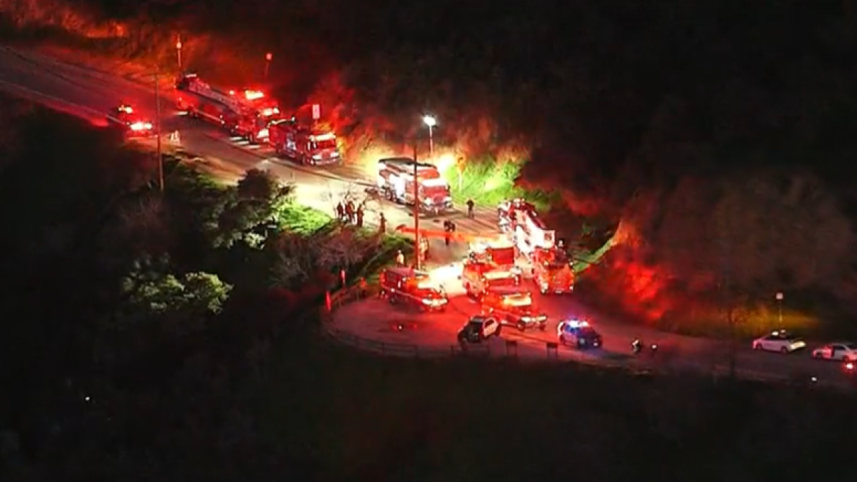 Conductora rescatada tras caer 100 pies por un acantilado en Beverly Crest - Telemundo 52