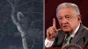 López Obrador comparte foto de supuesto duende maya