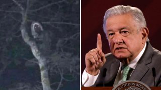 AMLO y el supuesto aluxe