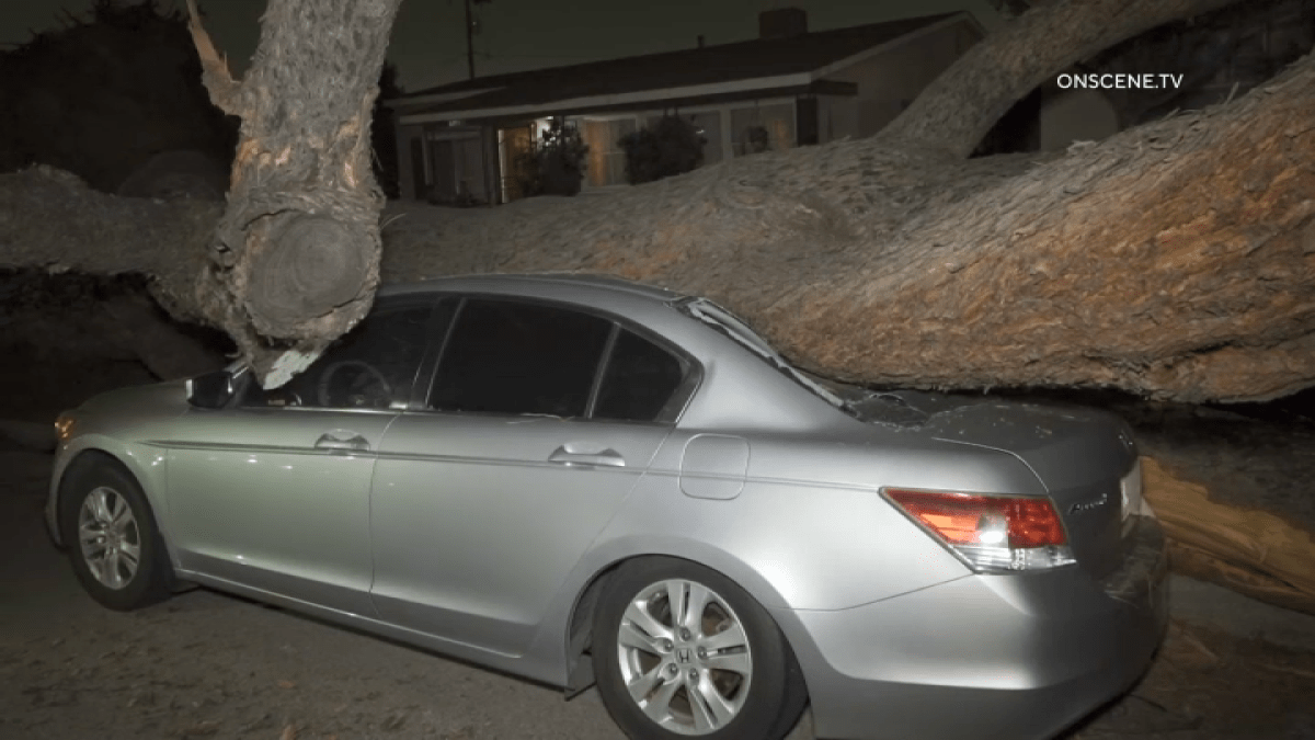 Tree destroys car and narrowly falls on Whittier’s home