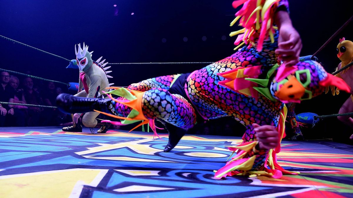 Wrestlers, comedy, music and exotic dancers: Lucha Vavoom is ready to excite her audience