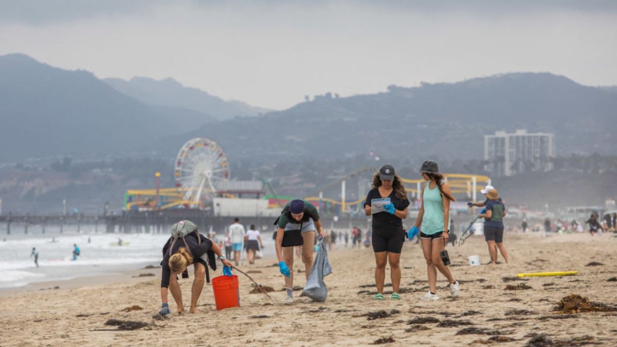 Litter on the beaches: this is the most widespread litter on the Californian coast
