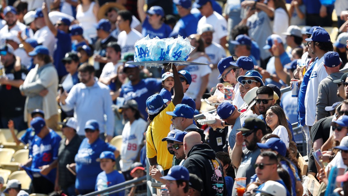 Catch a ball in the Dodgers game with baby strapped to chest and drink in hand