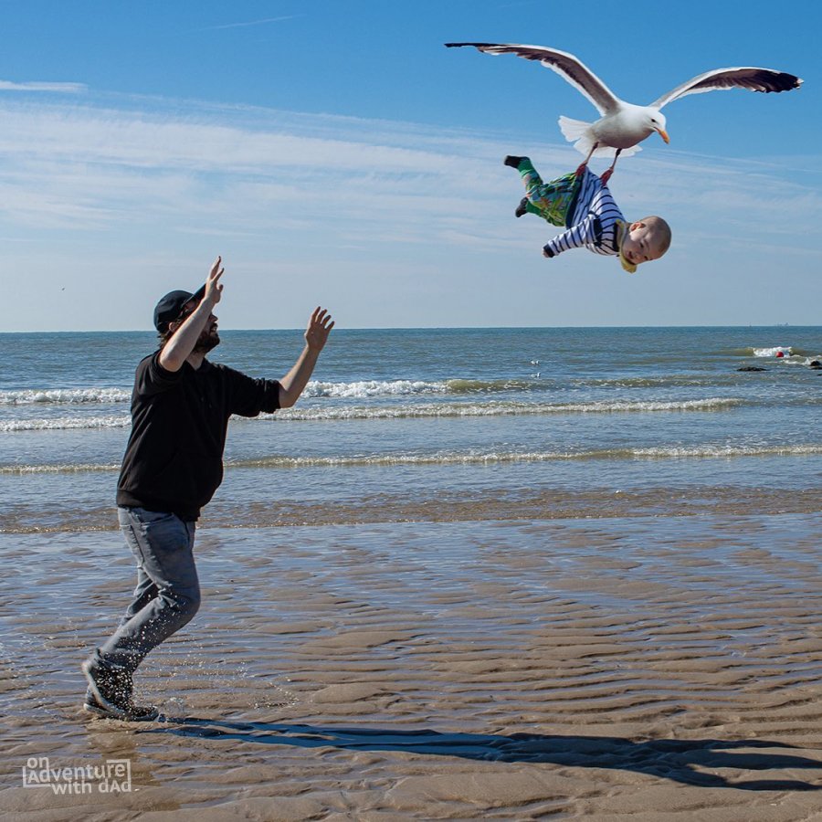 A photoshopped image of baby Alix being carried away by a seagull.