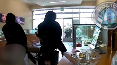 Captado en video: ladrones rompen vitrinas para llevarse miles de dólares en joyas