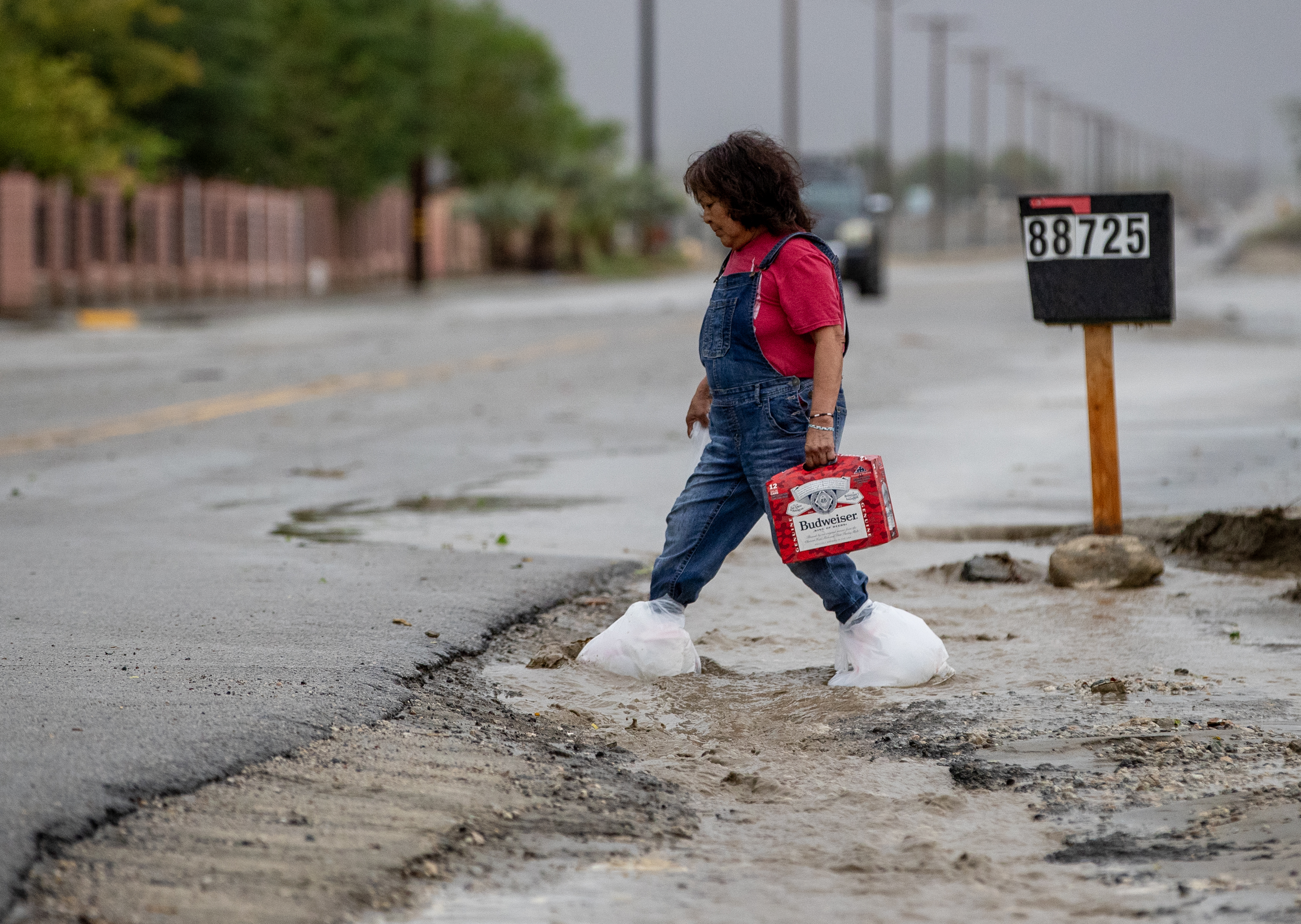 Nannie Auclair usa bolsas de plástico en los pies mientras atraviesa las aguas de la inundación con una caja de Budweiser que acababa de comprar en un mercado del vecindario, mientras la tormenta tropical Hilary arrojaba lluvias torrenciales en el área el 20 de agosto de 2023 en Thermal, California. (Gina Ferazzi / Los Angeles Times via Getty Images)