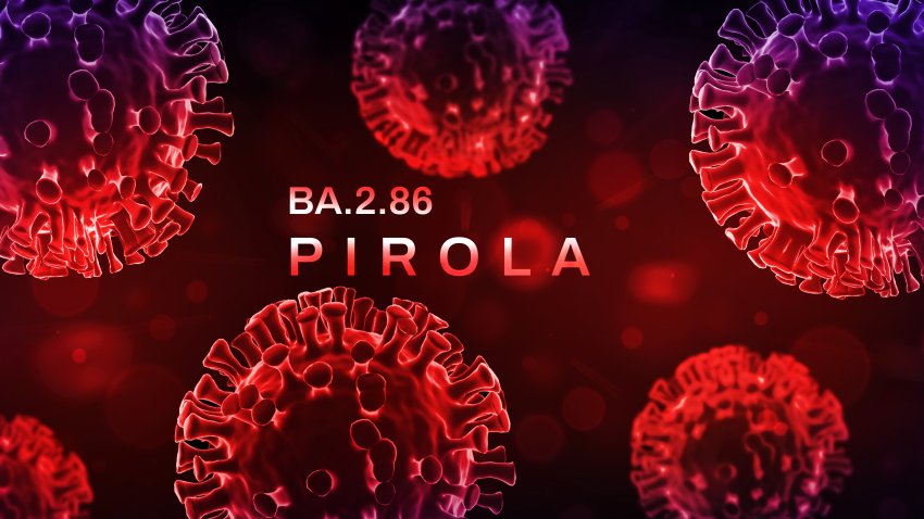 BA.2.86 Pirola Coronavirus new variant background design with virus sign in alarming colors. New covid variant concept backdrop