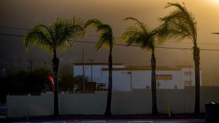 SAN JACINTO, CA - 24 DE NOVIEMBRE de 2022: Las palmeras se doblan con el viento cuando fuertes vientos obligaron a Southern California Edison a cortar el suministro eléctrico al área el día de Acción de Gracias el 24 de noviembre de 2022 en San Jacinto, California. No hay electricidad en el área de Highway 74 y Vista Place. Los vientos de San Ana continuarán hasta el viernes. (Gina Ferazzi/Los Angeles Times vía Getty Images)