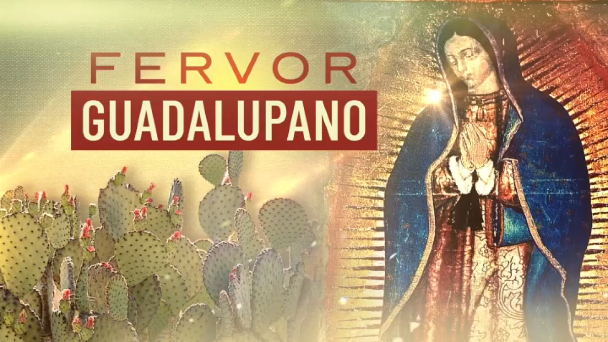 Las Mañanitas a la Virgen de Guadalupe 2023 EN VIVO: mira AQUÍ la misa  completa HOY, vía Televisa, Cuándo y dónde ver 'Las Mañanitas a la Virgen  de Guadalupe