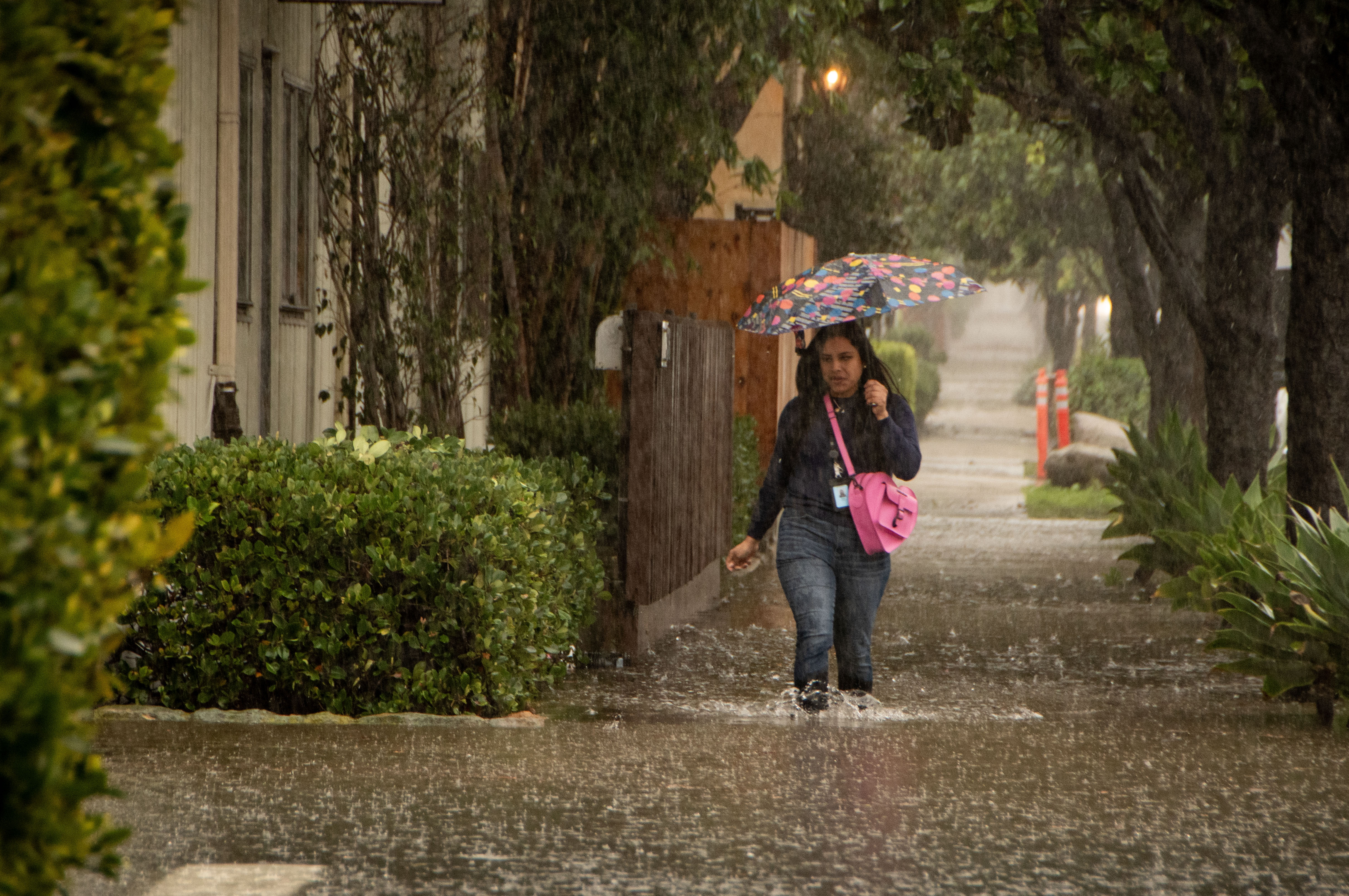 Una mujer fue registrada este domingo, 4 de febrero, al caminar en medio de una calle inundada, por efecto de las fuertes lluvias, en Santa Barbara (California, EE.UU.). EFE/Erick Madrid