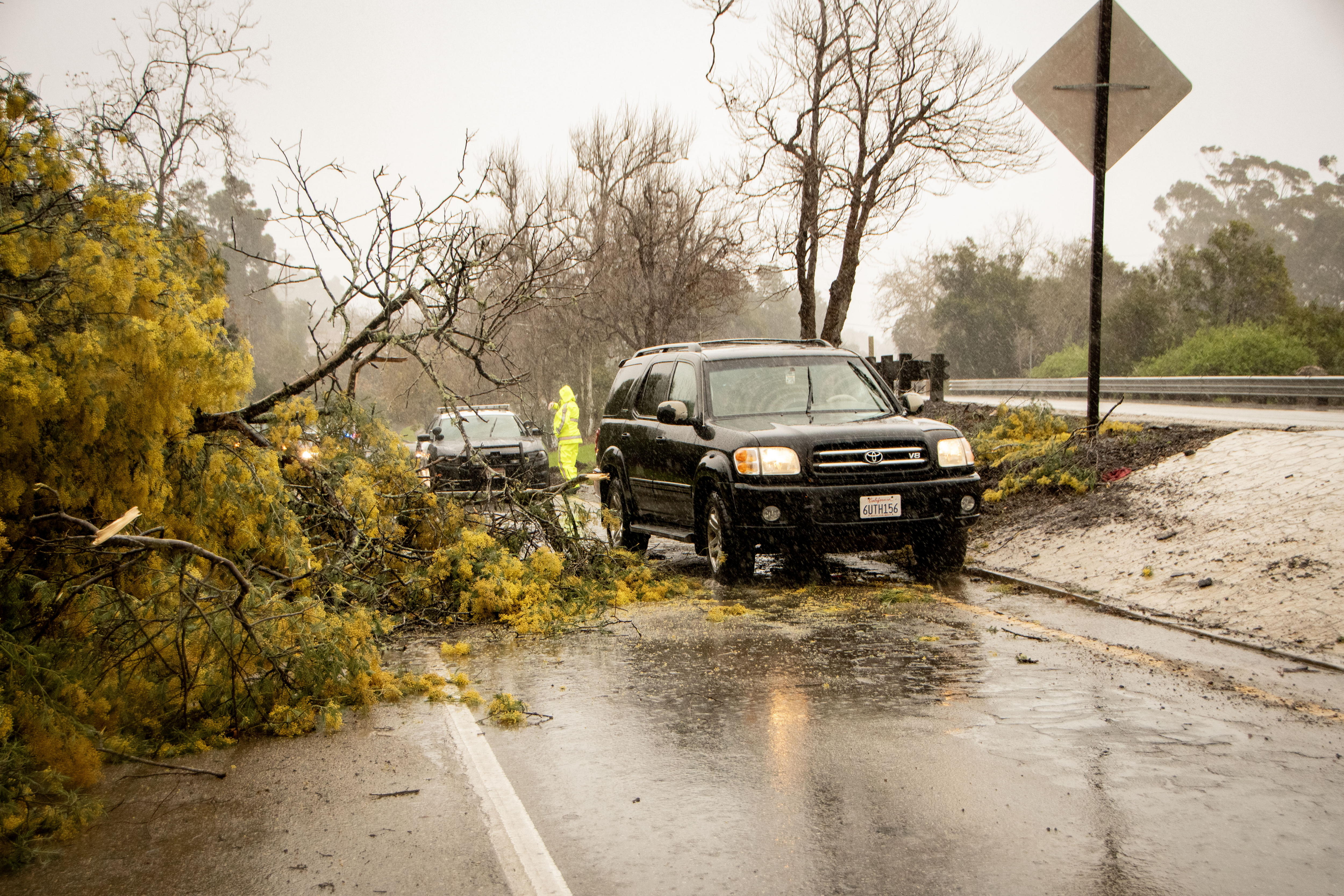 Una camioneta fue registrada este domingo, 4 de febrero, al pasar junto a un árbol derribado por una fuerte tormenta, en Santa Barbara (California, EE.UU.). EFE/Erick Madrid