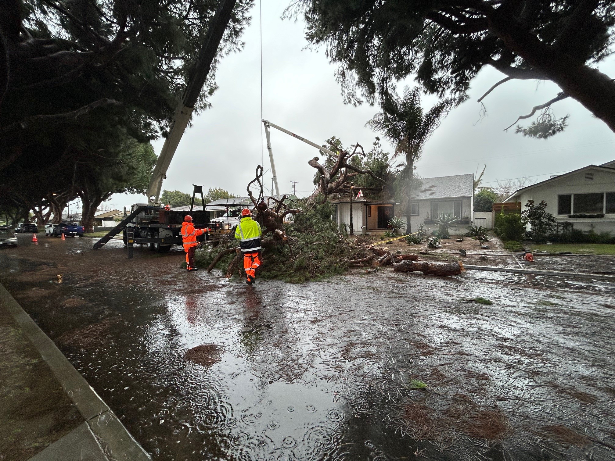 Equipos retiran un árbol caído en Long Beach el lunes 5 de febrero de 2024.