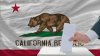 Desestiman caso contra mujer que registró a su perra para votar en California